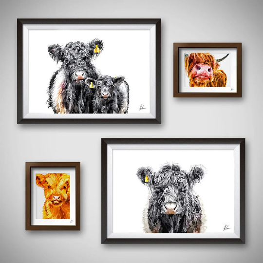 Belted Galloway Cow & Calf