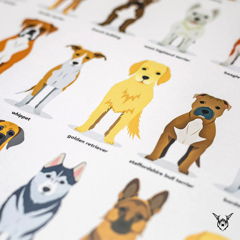 Dog Breeds Print