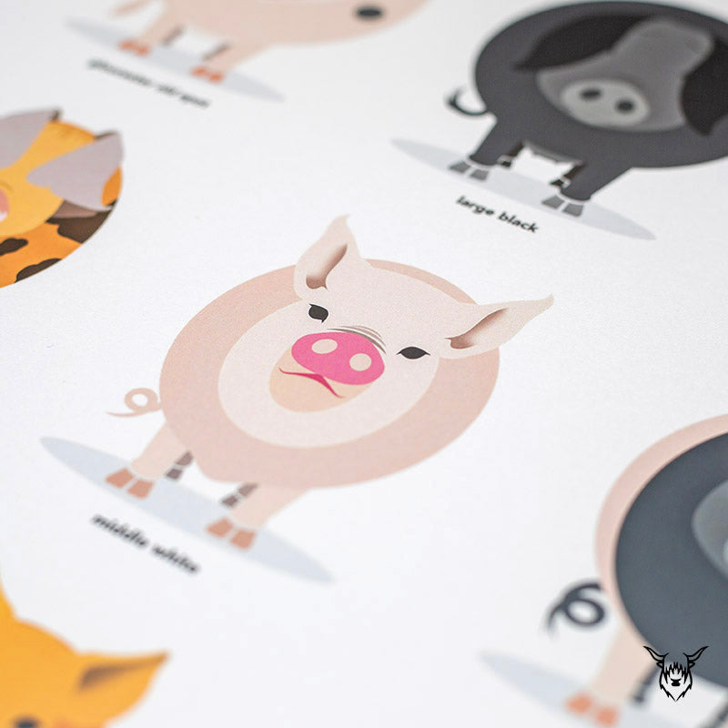Pig Breeds Print