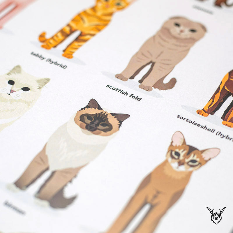 Cat Breeds Print