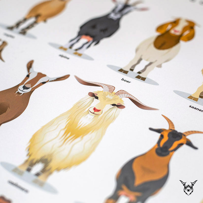 Goat Breeds Print