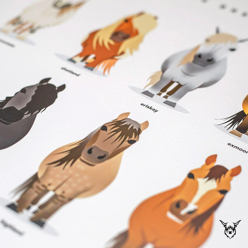 Horse Breeds