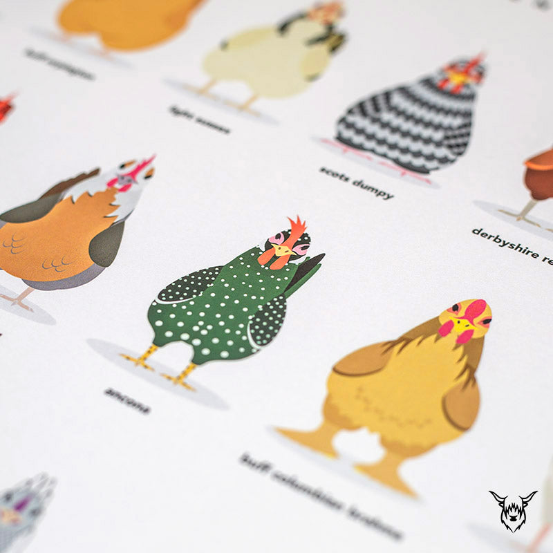 Chicken Breeds