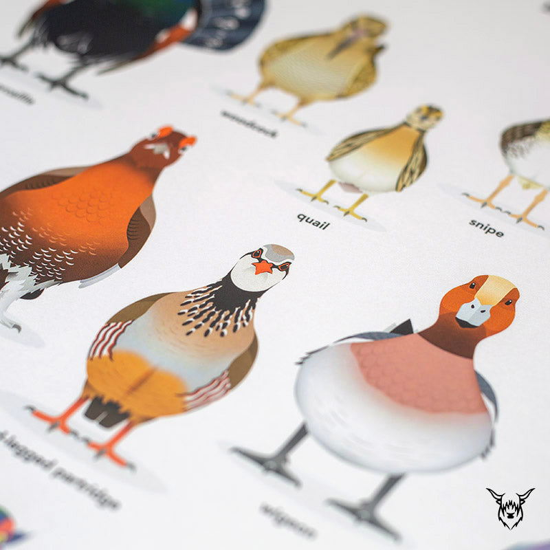 British Game Birds