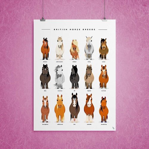 Horse Breeds