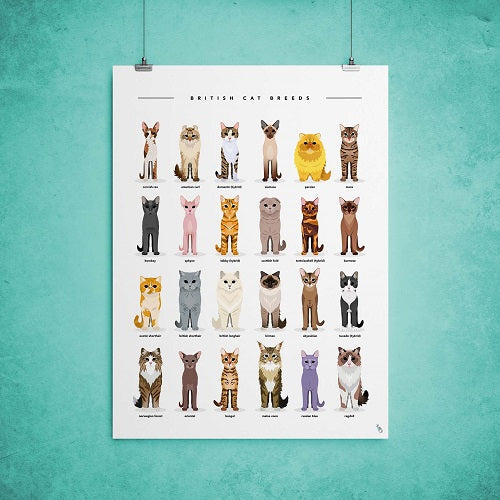 Cat Breeds Print
