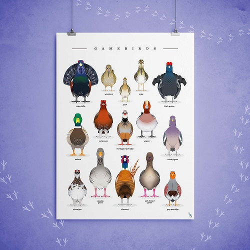 British Game Birds