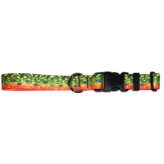 Brook Trout2 Dog Collar