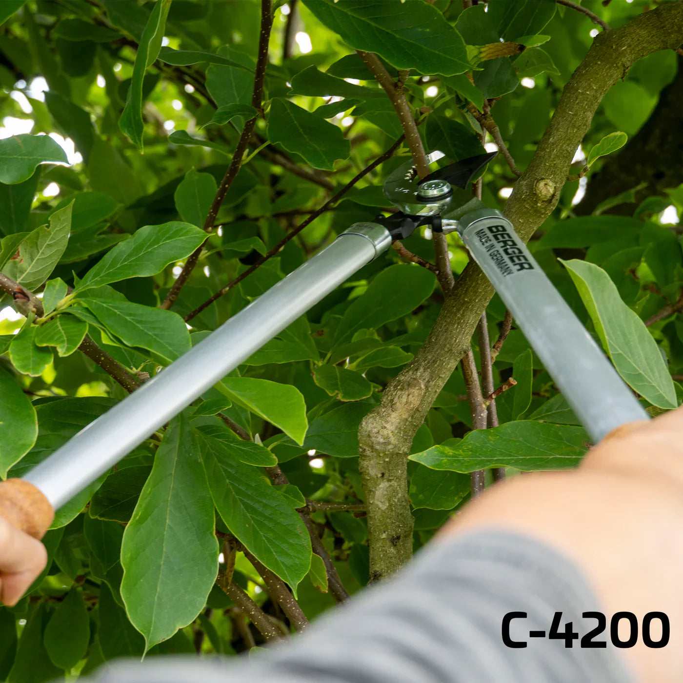 Professional Lopping Shear w/ Cork Handle #C4200