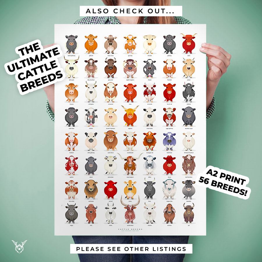 Cattle Breeds