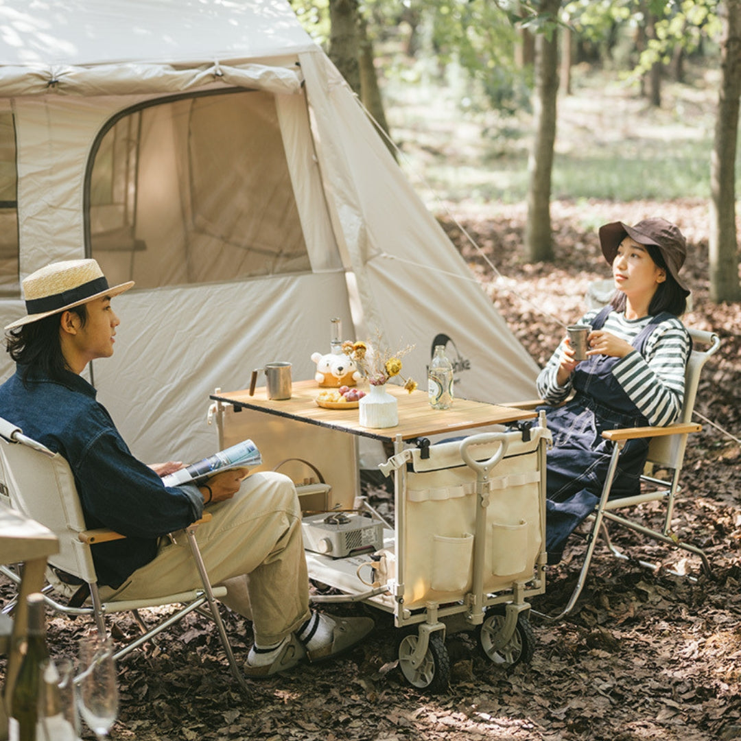 Naturehike CNH22JU014 (TC07) Multifunctional folding trolley