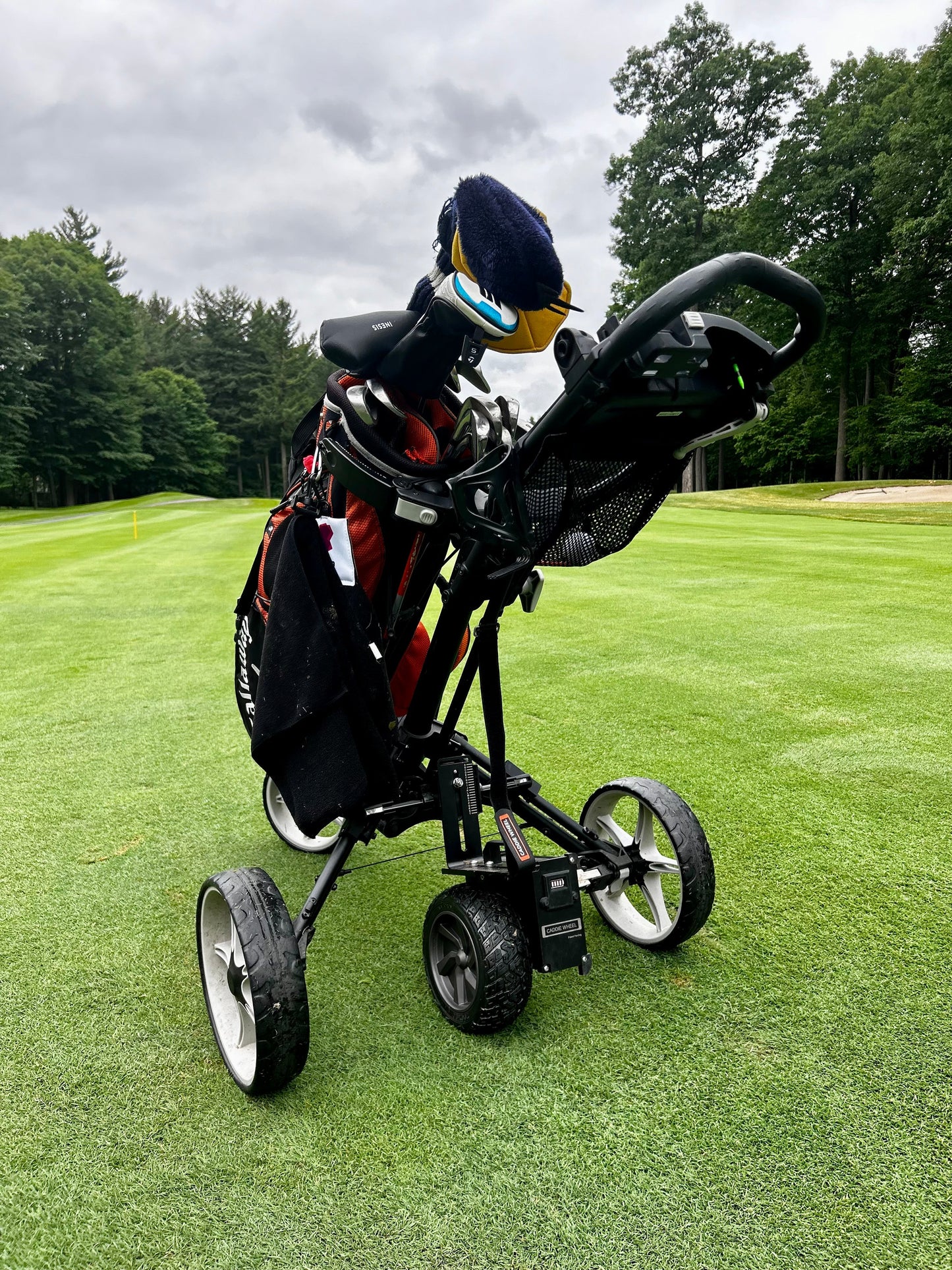 Caddie Wheel + Axglo V2 Golf Push Cart Bundle