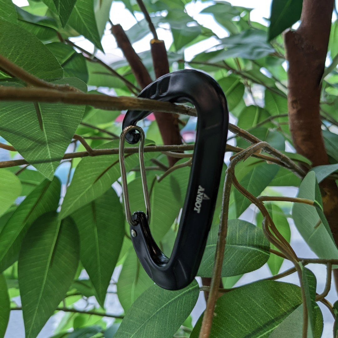 LNT Wiregate Carabiner