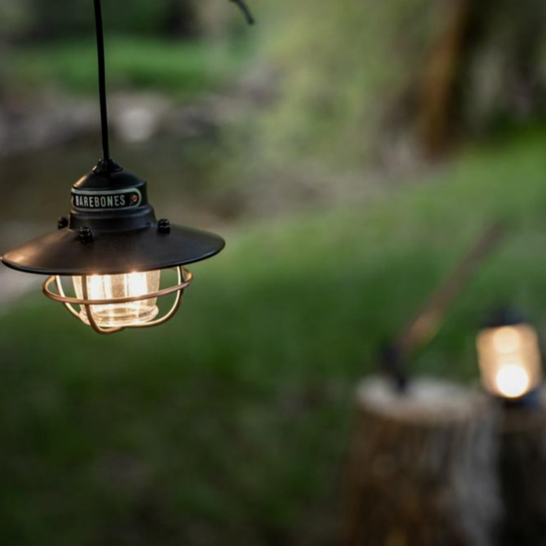 Barebones Edison Pendant Light