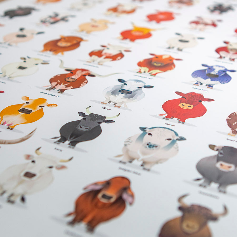 The Ultimate Cattle Breeds Poster