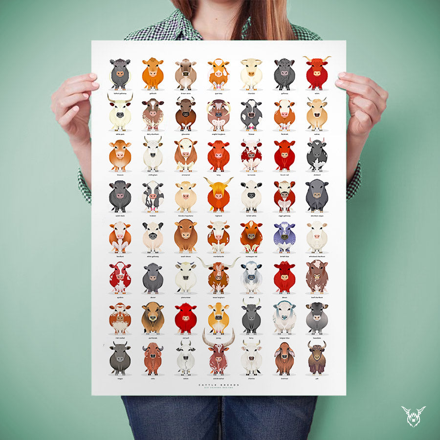 The Ultimate Cattle Breeds Poster