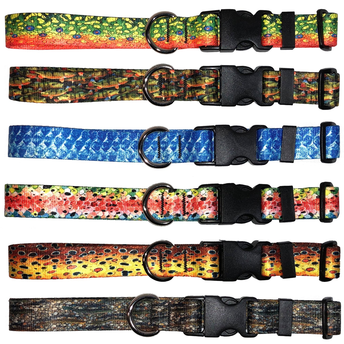 Rainbow#3 Trout Dog Collar