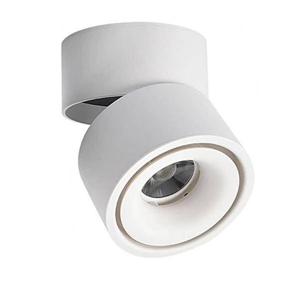 Adjustable Surface Spot Ceiling Light With Integrated LED Light