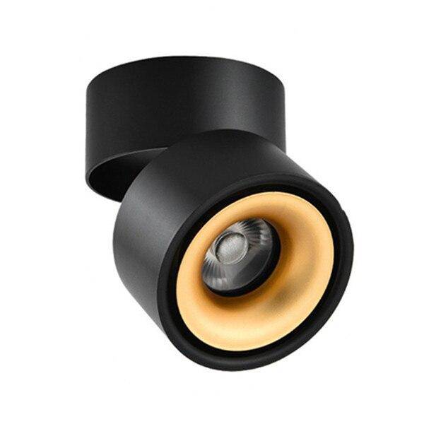 Adjustable Surface Spot Ceiling Light With Integrated LED Light
