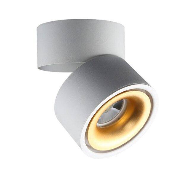 Adjustable Surface Spot Ceiling Light With Integrated LED Light
