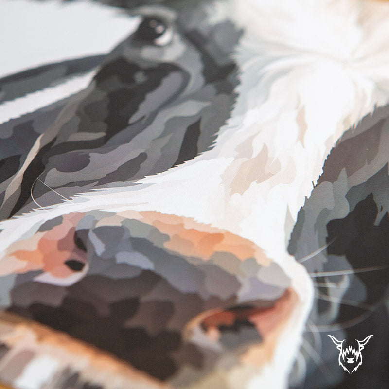 Holstein Friesian Dairy Cow