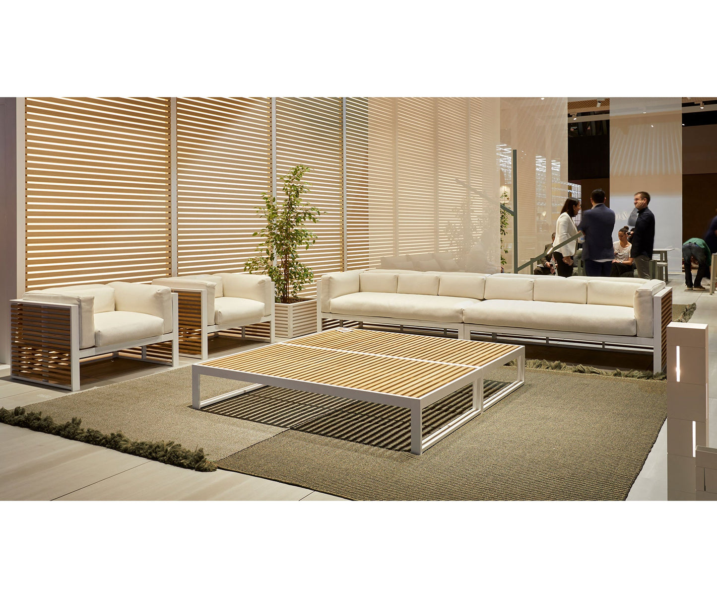 Dna Teak Lounge Chair