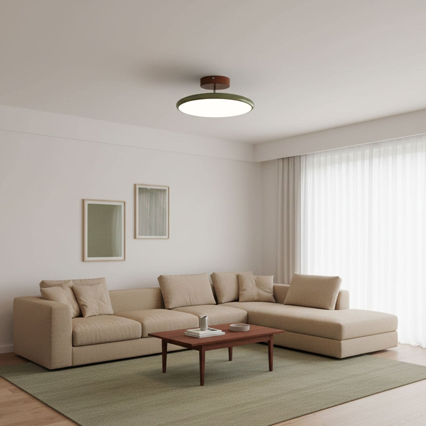 Adjustable Disc Ceiling Light With Low Profile Mount