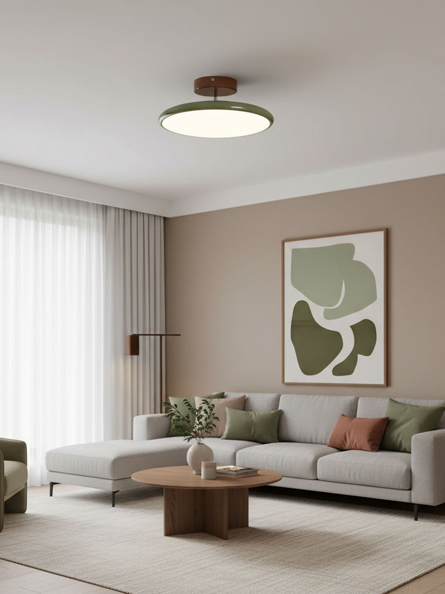 Adjustable Disc Ceiling Light With Low Profile Mount