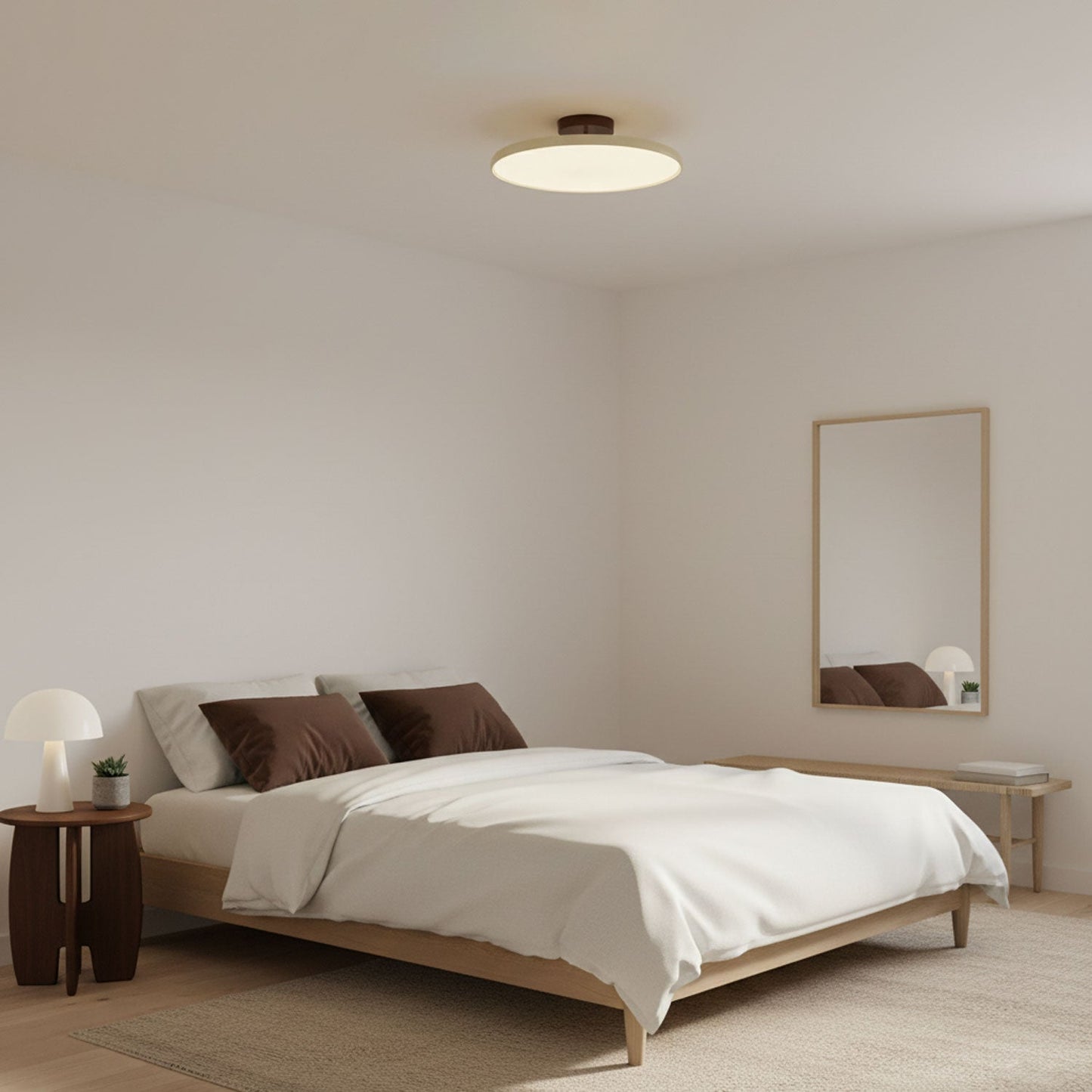 Adjustable Disc Ceiling Light With Low Profile Mount
