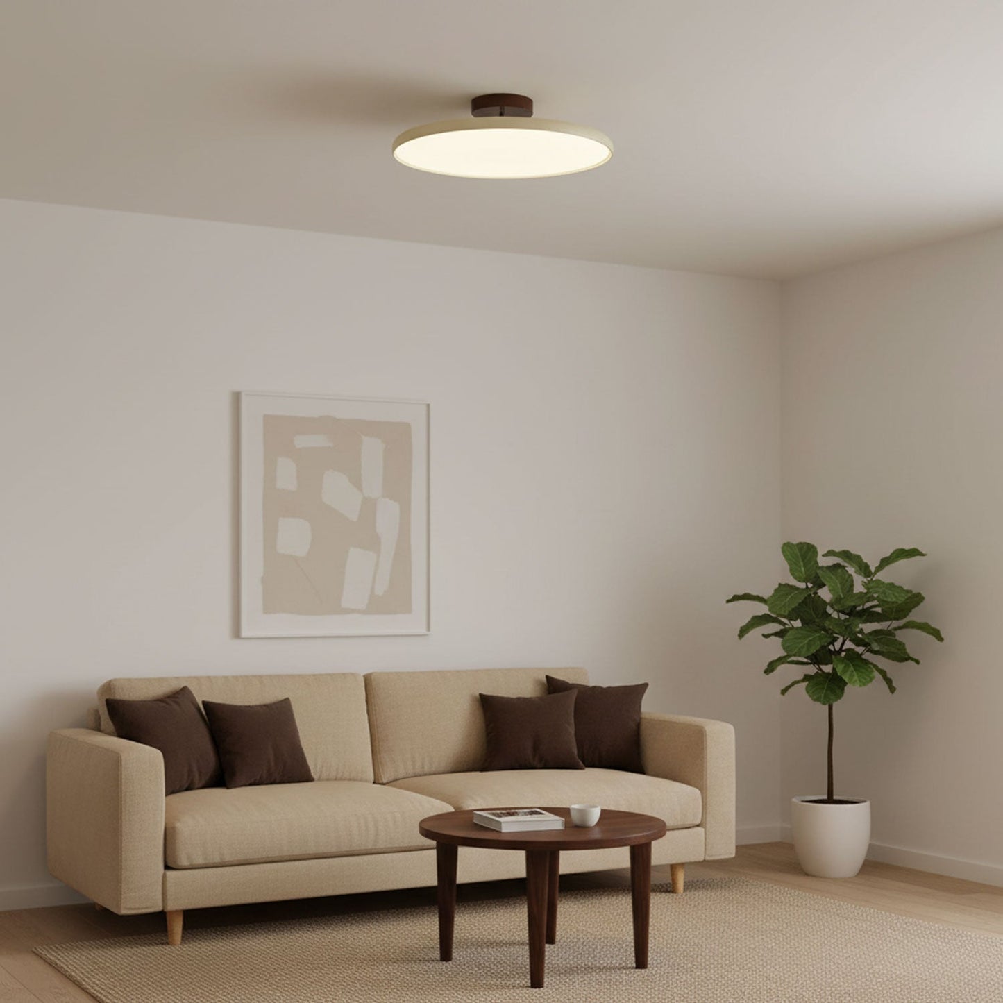 Adjustable Disc Ceiling Light With Low Profile Mount