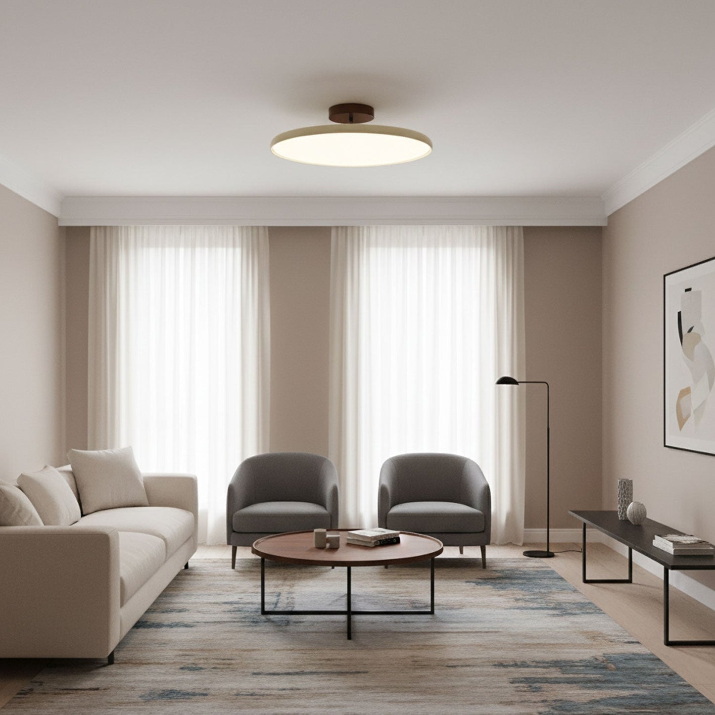 Adjustable Disc Ceiling Light With Low Profile Mount