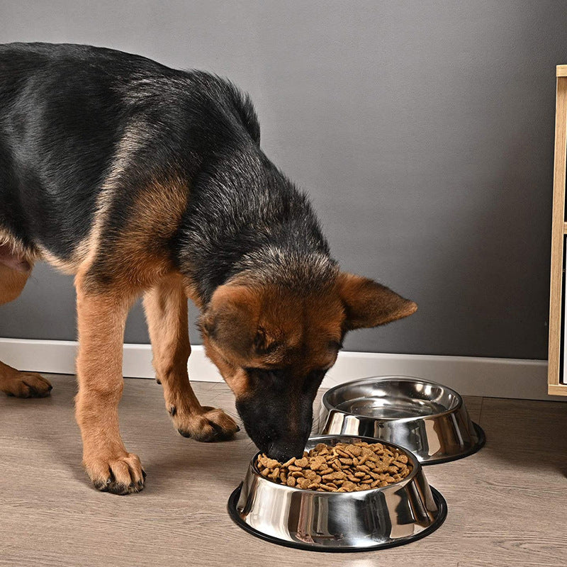Non-Slip Stainless Steel Dog Feeding Bowl