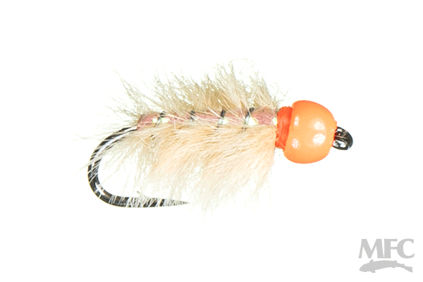 MFC Fire Bead Ray Charles