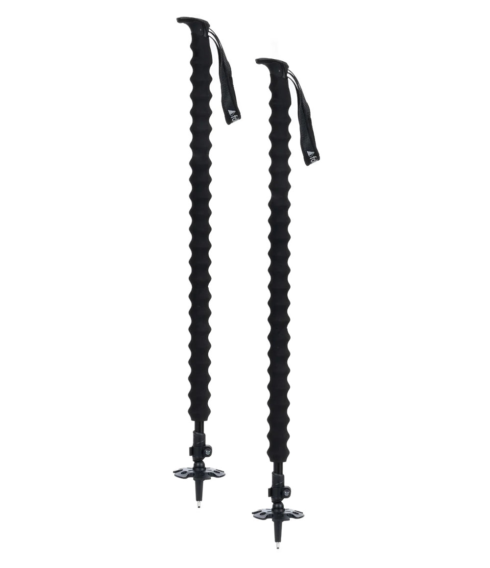 Pahto Ski Pole