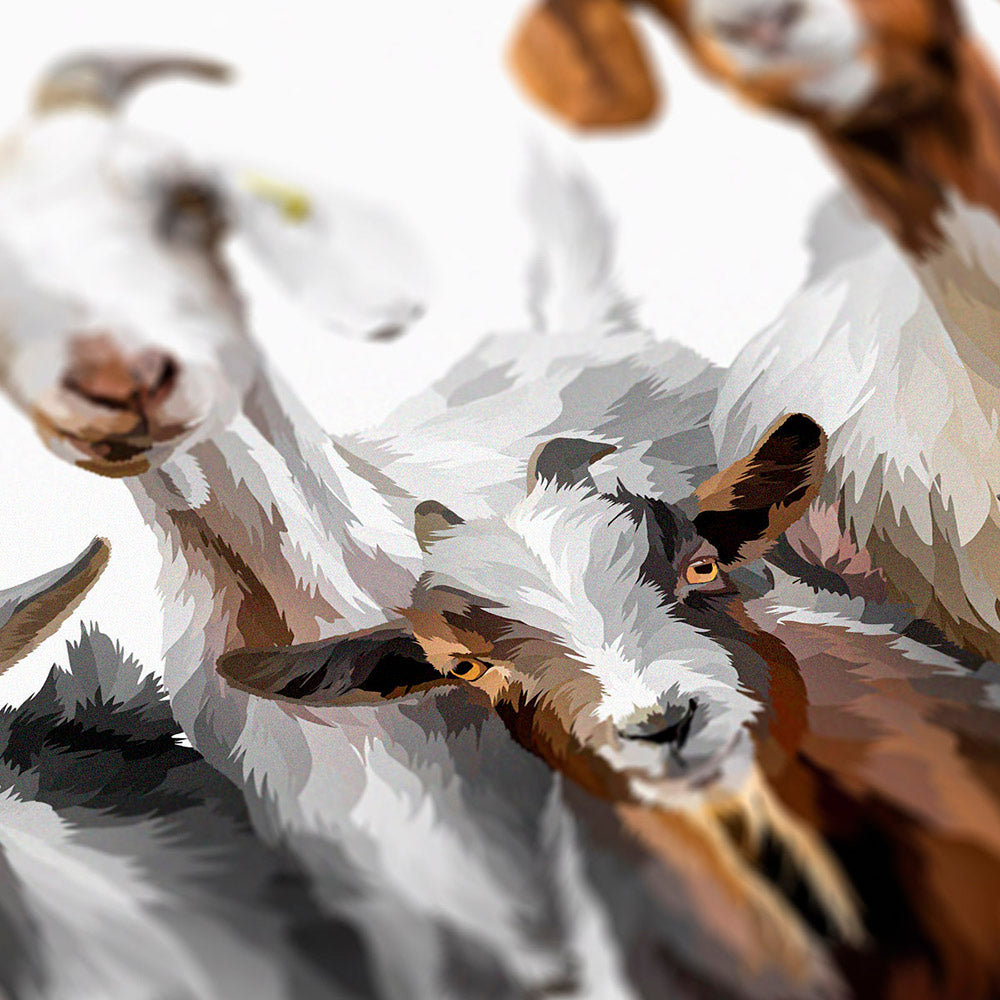 The Dalscone Goats