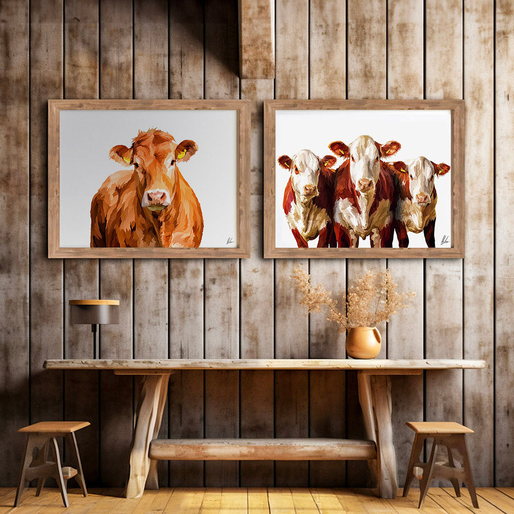 Hereford Cattle