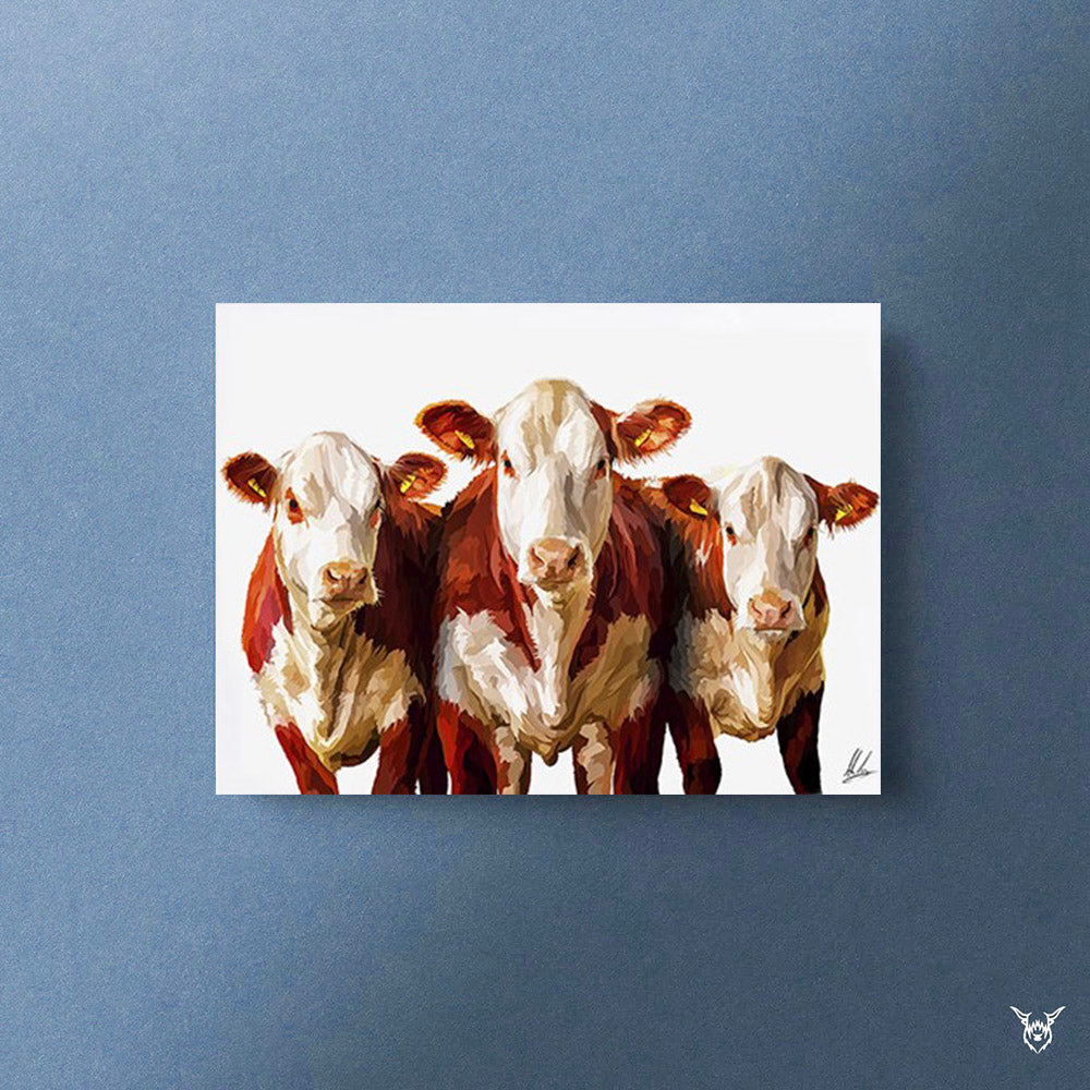 Hereford Cattle