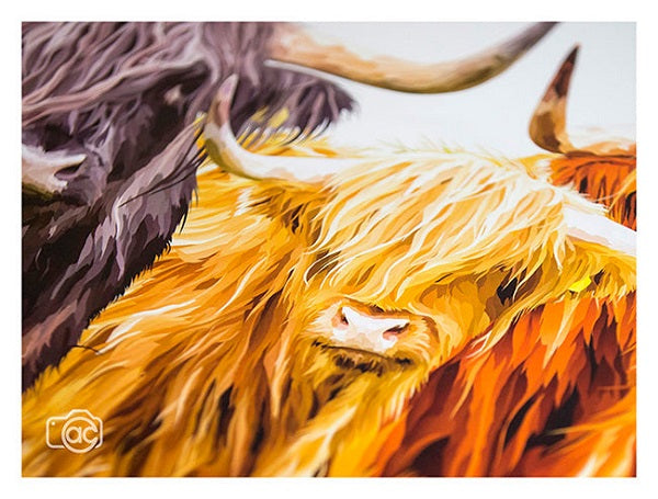 Highland Cow Trio