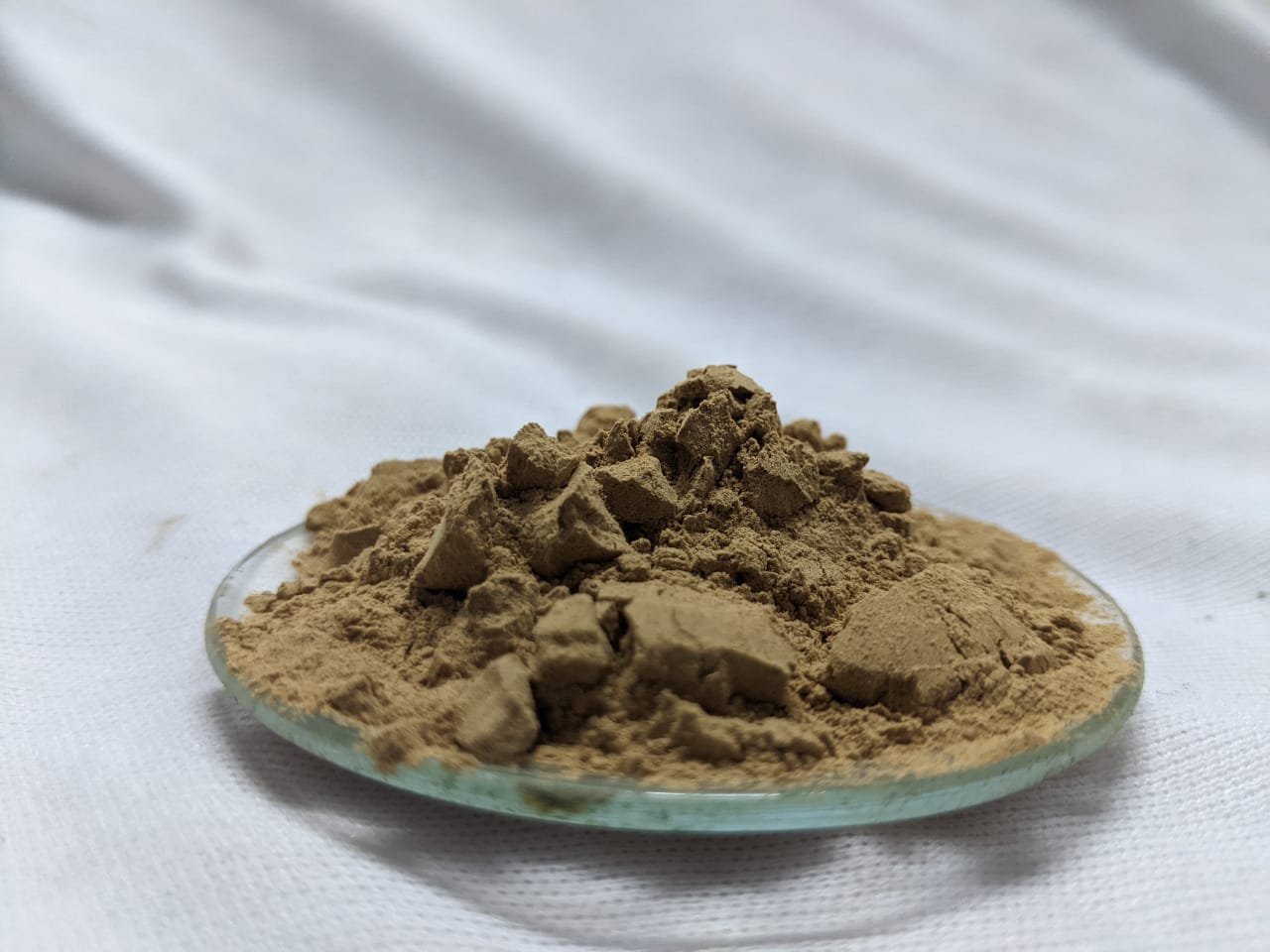 Extract Mulberry Dry (5% Flavones)