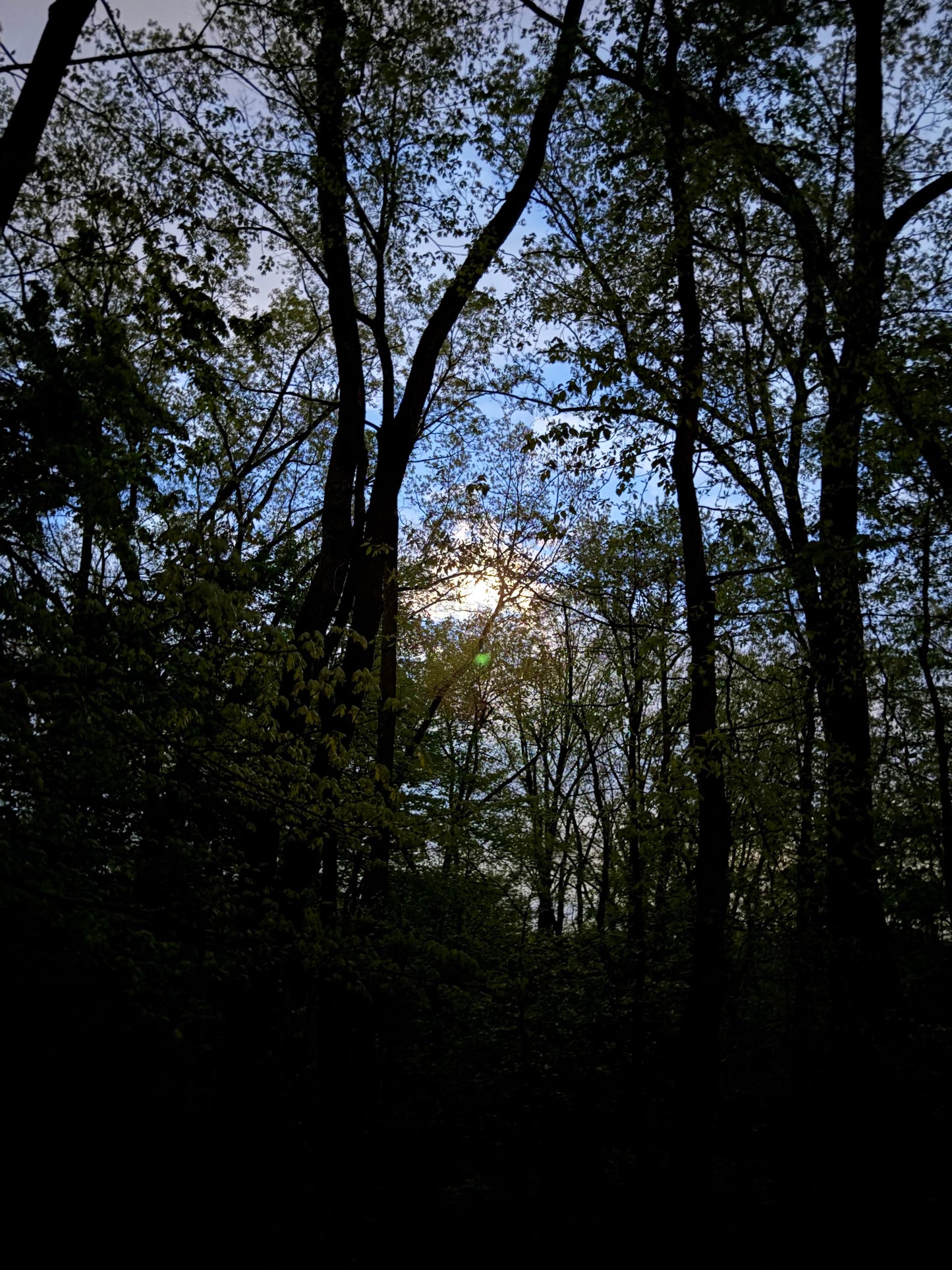 2026 Full Moon Hike Series