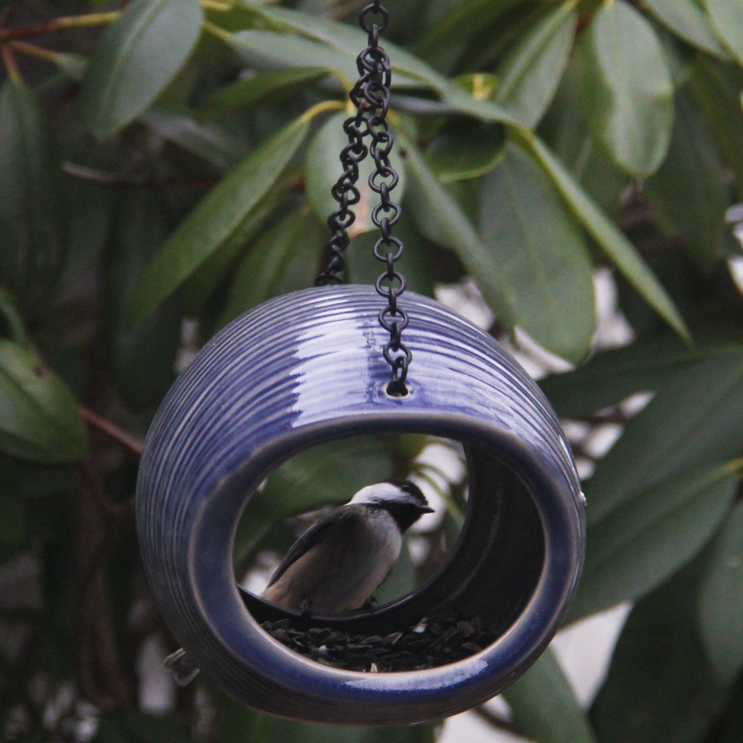 MangoStone Fly-through Feeder