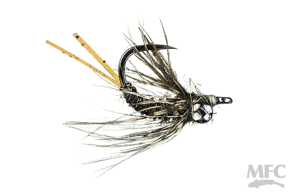 MFC Krueger's Lil' Dragon Craw