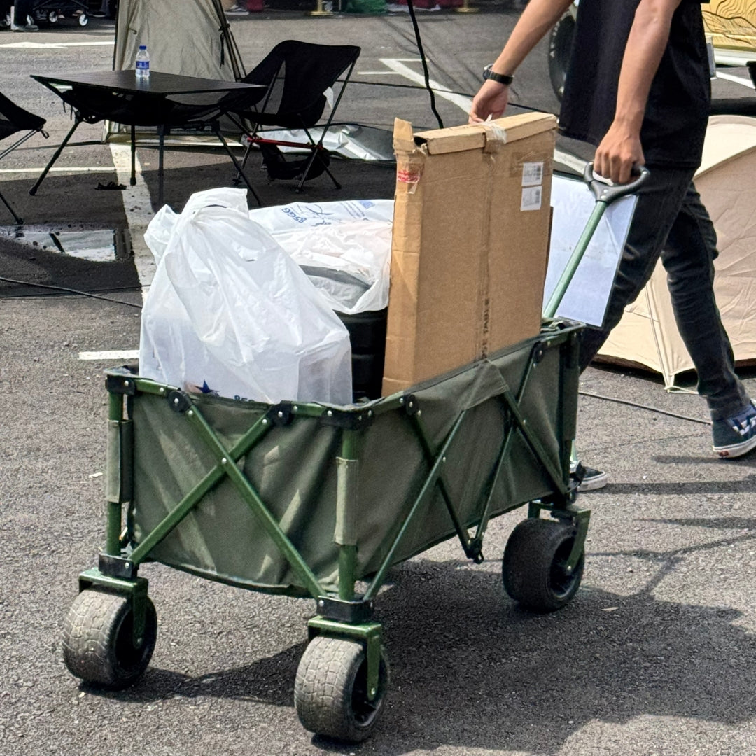 LNT Patirasa Foldable Wagon