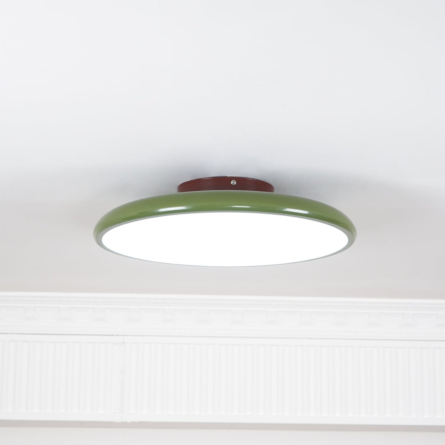 Adjustable Disc Ceiling Light With Low Profile Mount