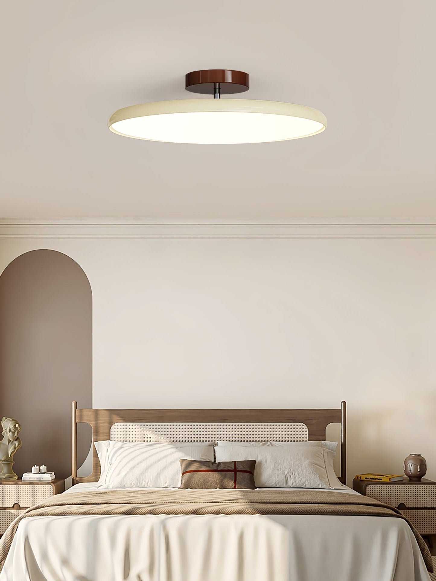 Adjustable Disc Ceiling Light With Low Profile Mount