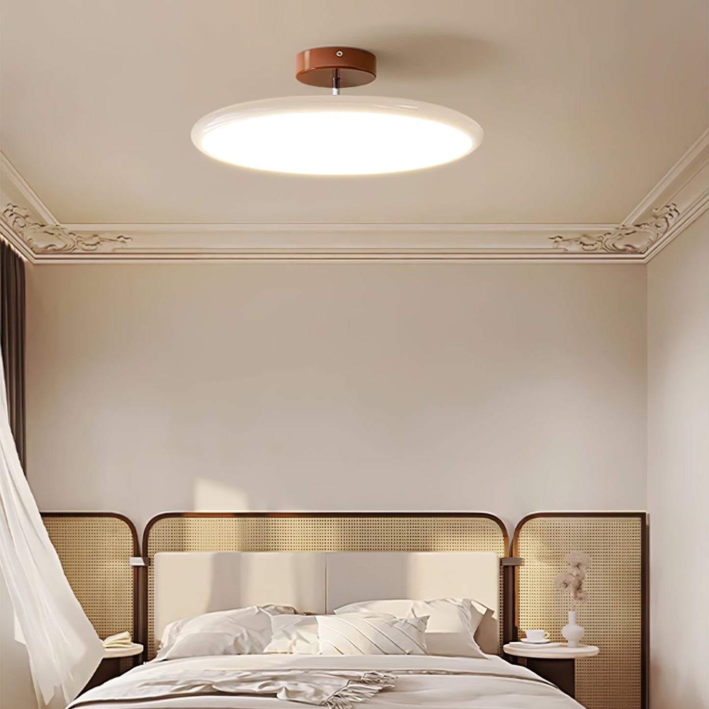 Adjustable Disc Ceiling Light With Low Profile Mount