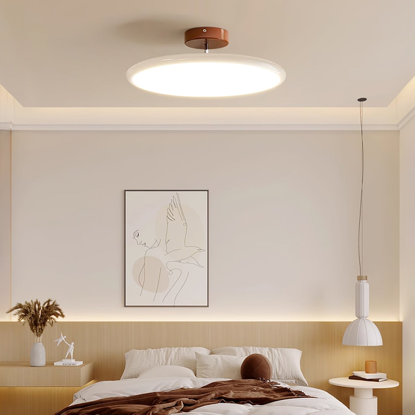 Adjustable Disc Ceiling Light With Low Profile Mount