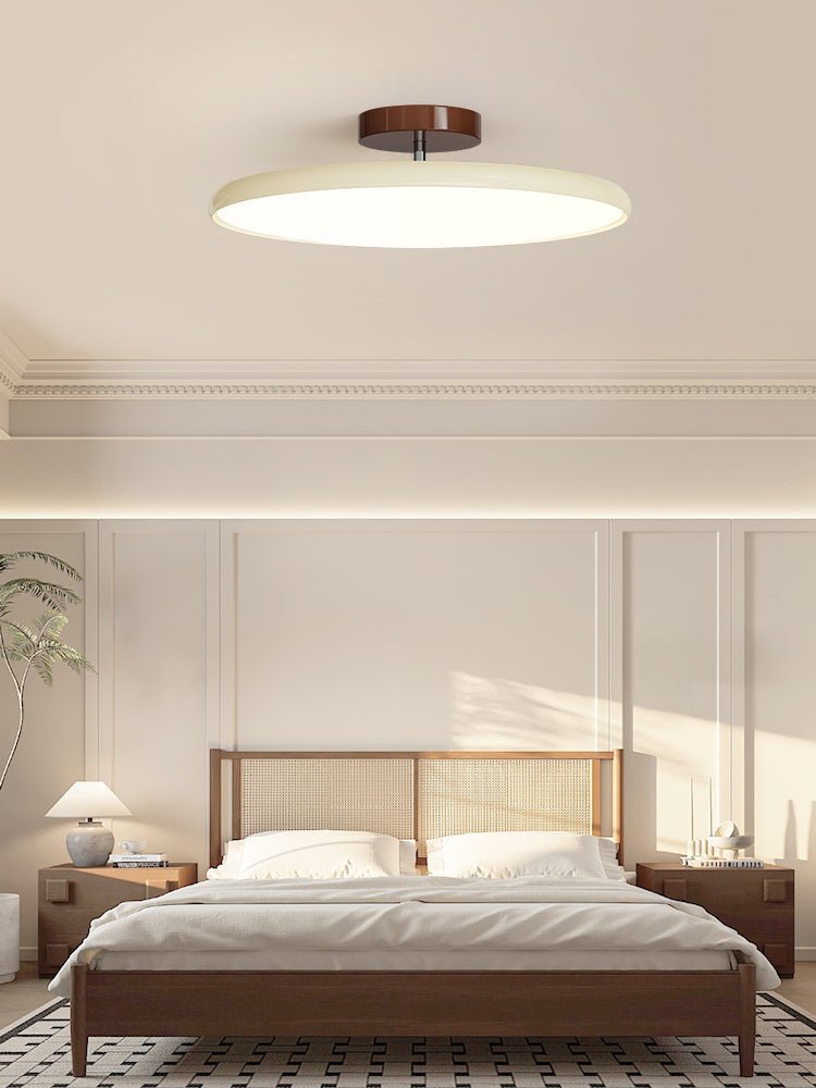 Adjustable Disc Ceiling Light With Low Profile Mount