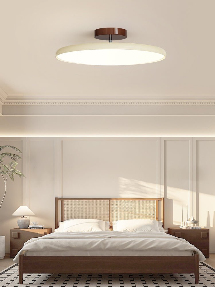 Adjustable Disc Ceiling Light With Low Profile Mount