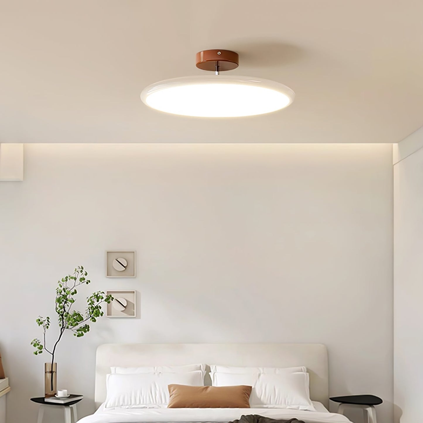 Adjustable Disc Ceiling Light With Low Profile Mount